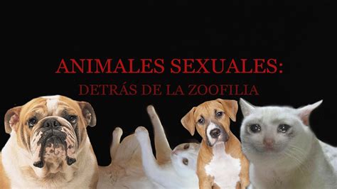 zoofilia xxx|Vídeos sexuales con animales y películas porno de bestialismo。